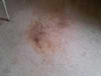 Prestige Carpet and Upholstery Cleaning 356759 Image 1